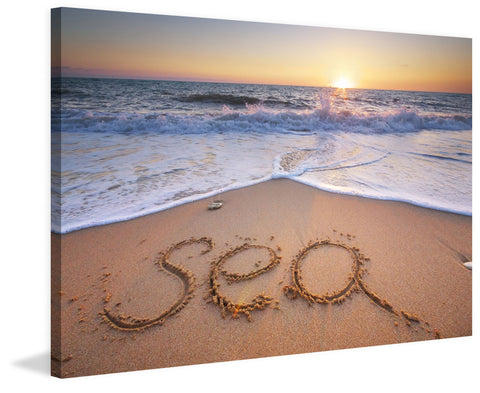 Sea Shore