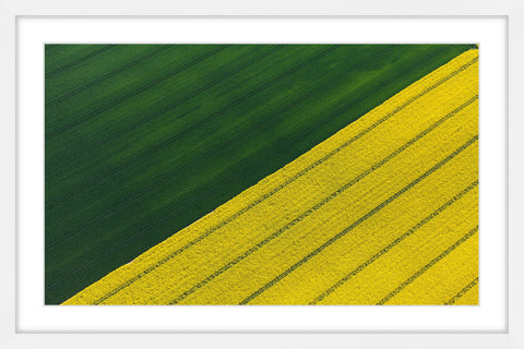 Green and Yellow Crops