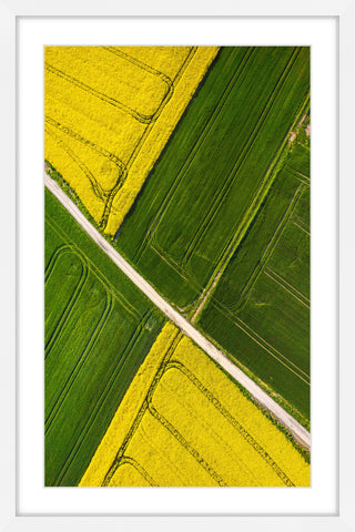 Through the Fields