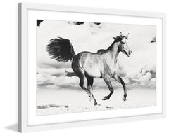 Horse Dance