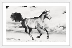 Horse Dance