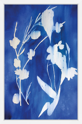 Cyanotype