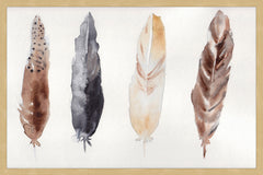 Feathers