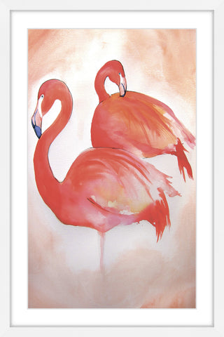 Flamingos