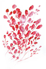 Cherry Floral Print