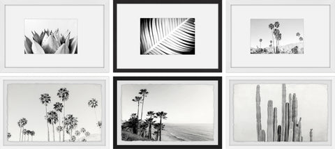 Black and White Summer