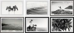 Summer Palms and Waves Hexaptych