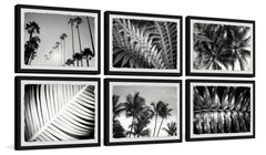 Summer Palms Hexaptych