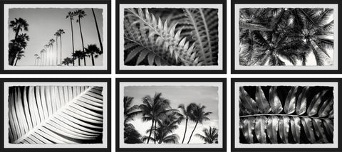 Summer Palms Hexaptych