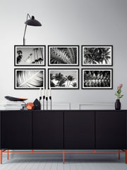 Summer Palms Hexaptych