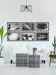 Summer Palms Hexaptych