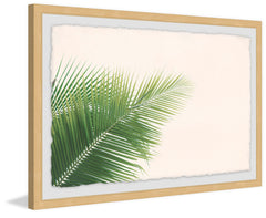 Palm Angles
