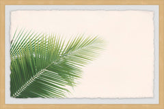 Palm Angles