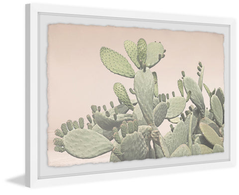 Cactus Bunch