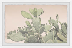 Cactus Bunch