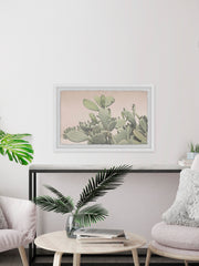 Cactus Bunch