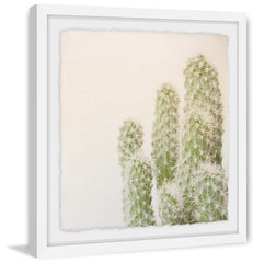 White Fuzzy Cactus