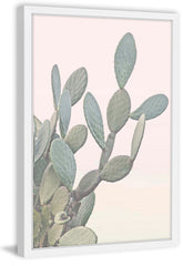 Flor del Desierto