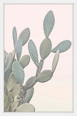 Flor del Desierto