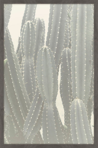 Tall Cactus