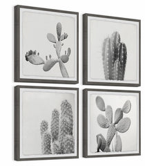 Cacti Types Quadriptych