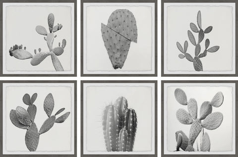 Cactus Variety II Hexaptych