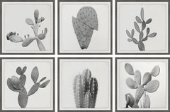 Cactus Variety II Hexaptych