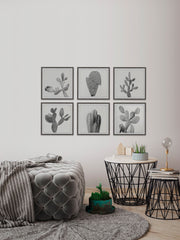 Cactus Variety II Hexaptych