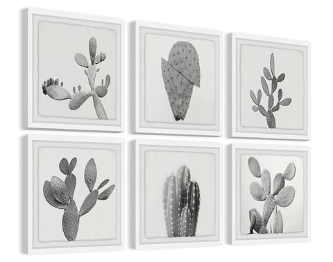 Cactus Variety II Hexaptych