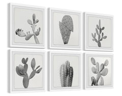 Cactus Variety II Hexaptych
