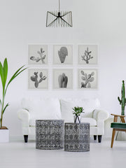 Cactus Variety II Hexaptych