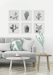 Cactus Variety II Hexaptych
