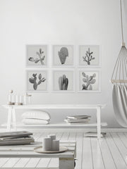 Cactus Variety II Hexaptych