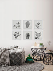 Cactus Variety II Hexaptych