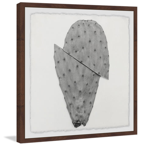 Sliced Cactus