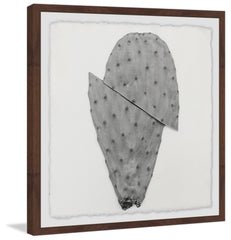 Sliced Cactus