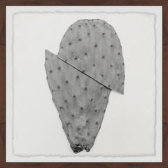 Sliced Cactus