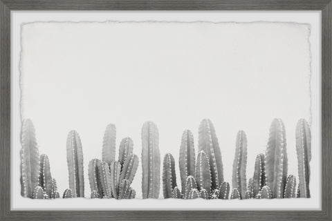 Cacti Splendor II