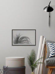 Coconut Tree Top View