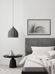 Coconut Tree Top View