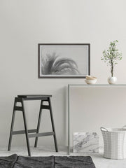 Coconut Tree Top View