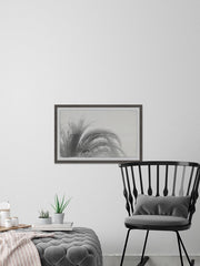 Coconut Tree Top View