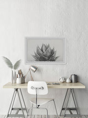 Agave II