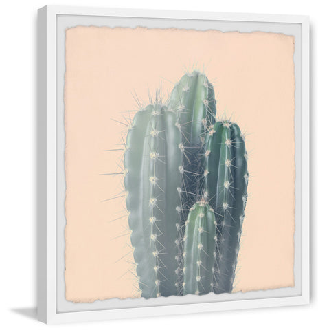 Green Cacti