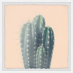 Green Cacti