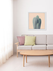 Green Cacti