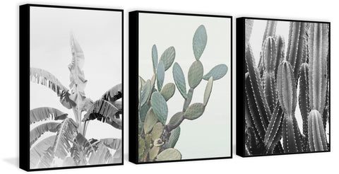 Vintage Cacti Triptych