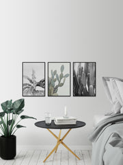 Vintage Cacti Triptych