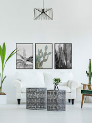 Vintage Cacti Triptych