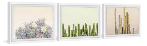 Floral Cactus Triptych